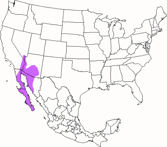 bird range map