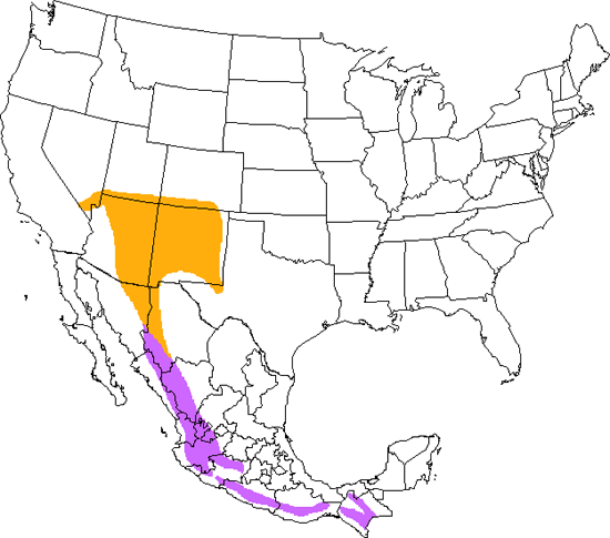 bird range map