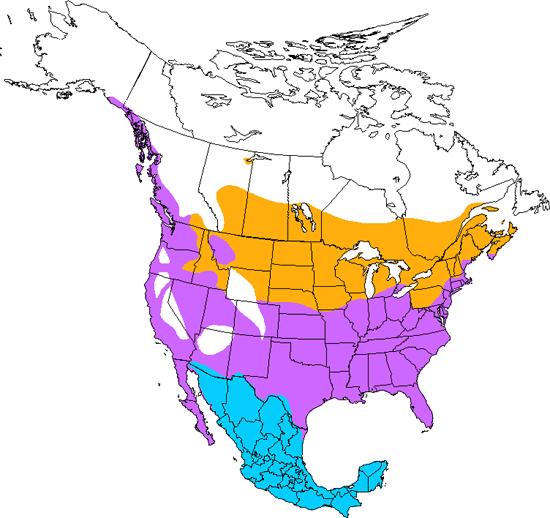 bird range map