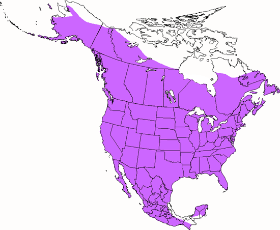 bird range map