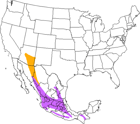 bird range map