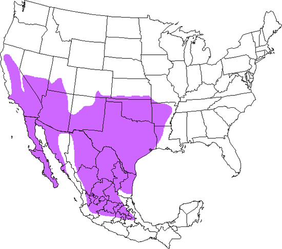 bird range map