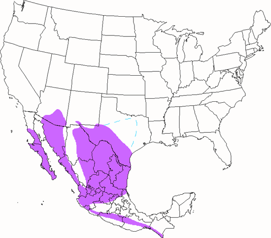 bird range map