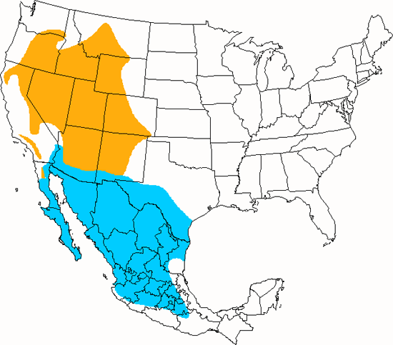 bird range map