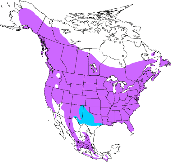 bird range map