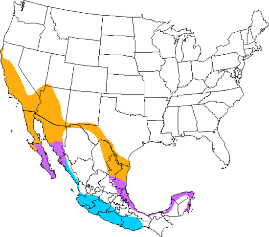 bird range map