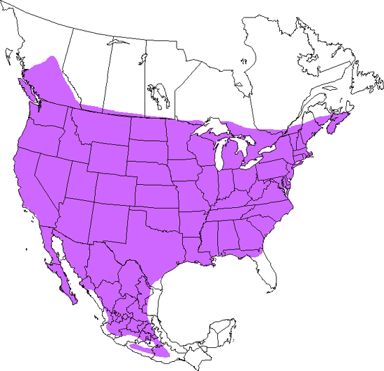 bird range map