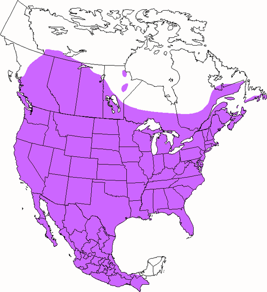 bird range map