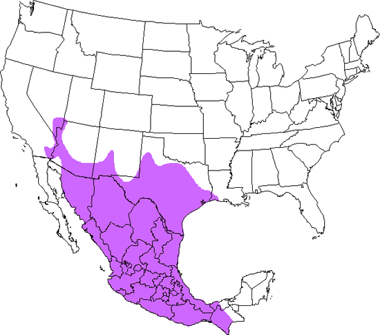 bird range map