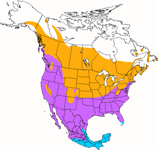 bird range map