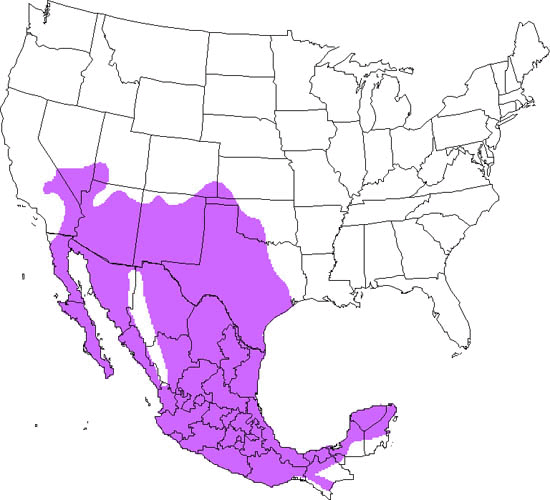 bird range map