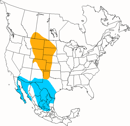 bird range map