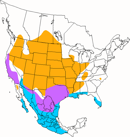 bird range map