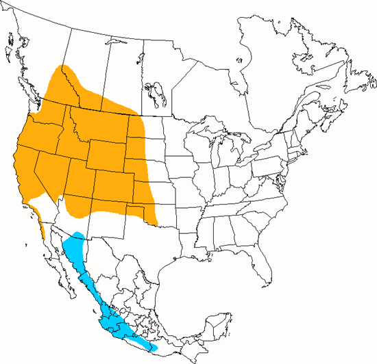 bird range map