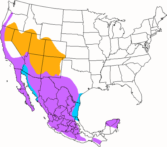 bird range map