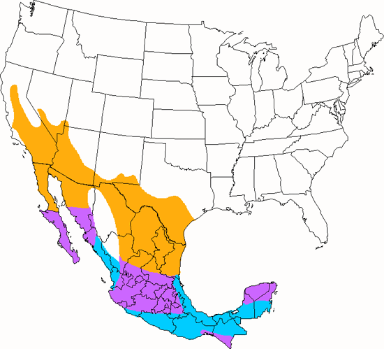 bird range map