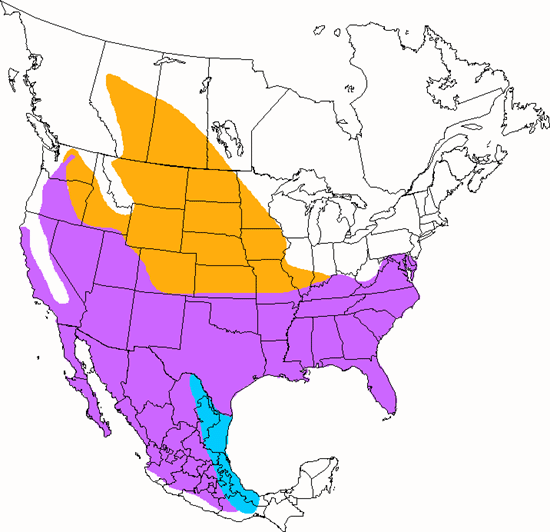 bird range map