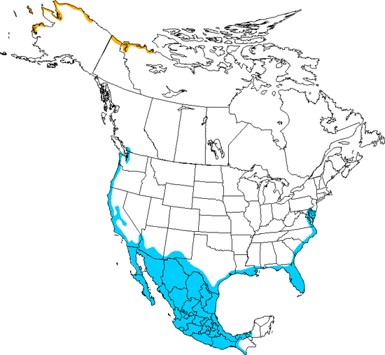 bird range map