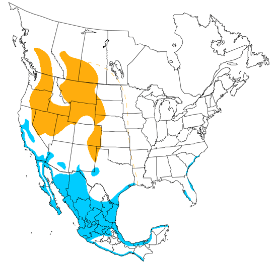 bird range map