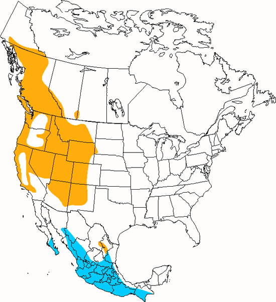 bird range map