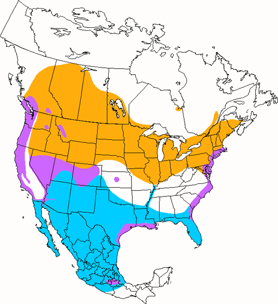 bird range map