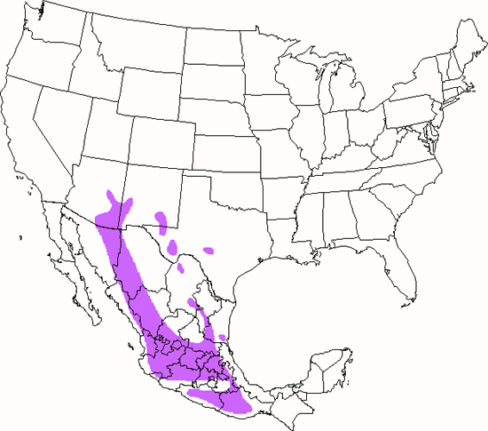 bird range map