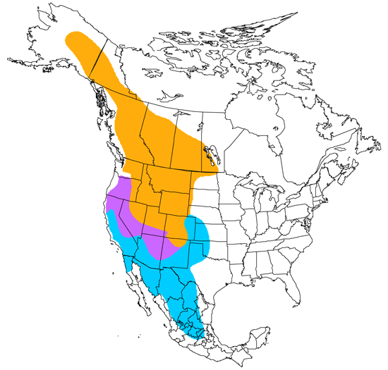 bird range map