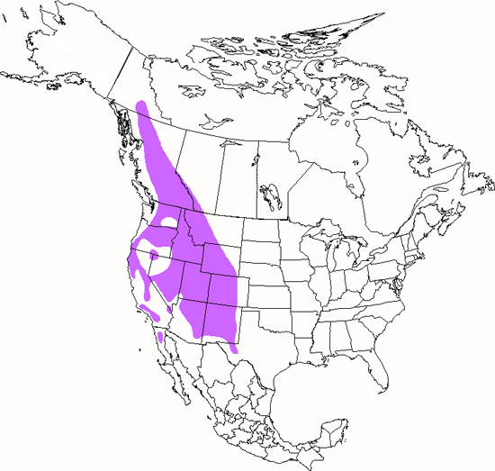 bird range map