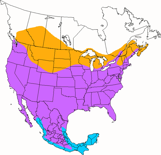 bird range map