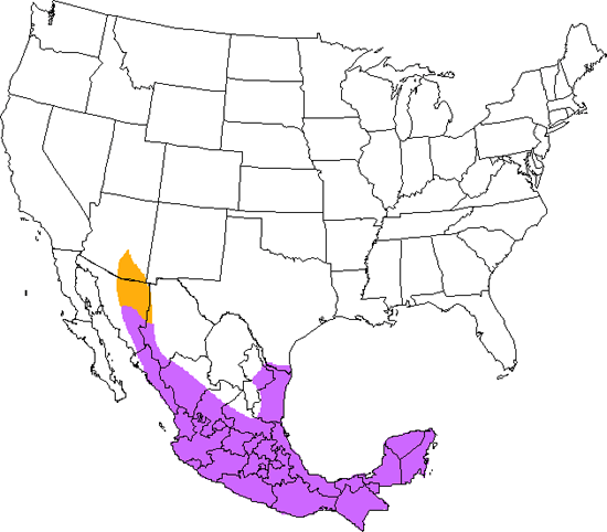 bird range map