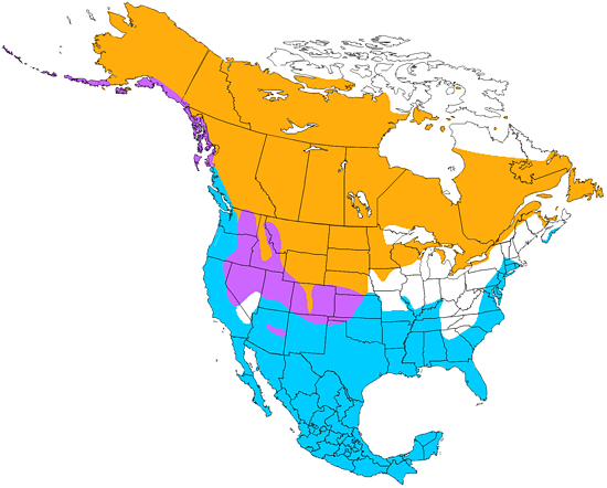 bird range map