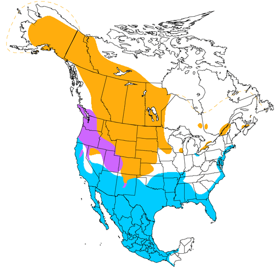 bird range map