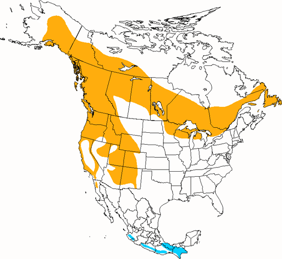 bird range map