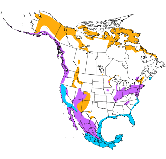 bird range map