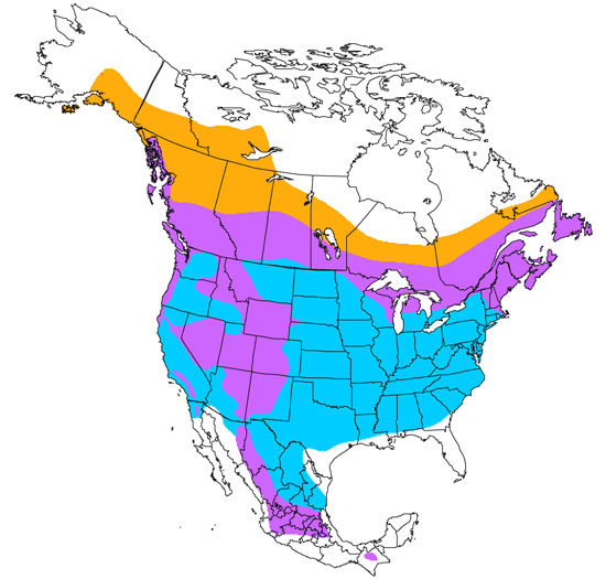 bird range map