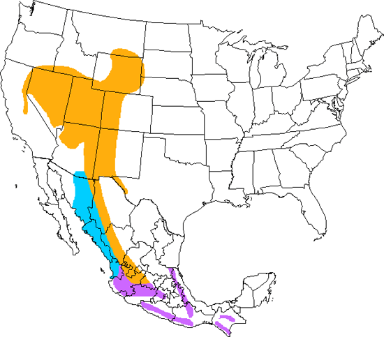 bird range map