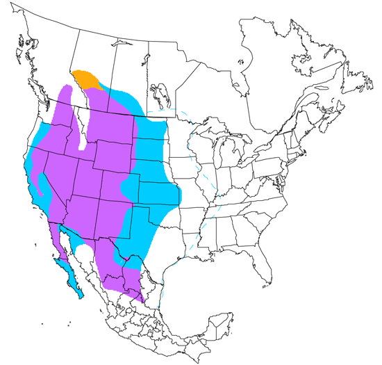 bird range map