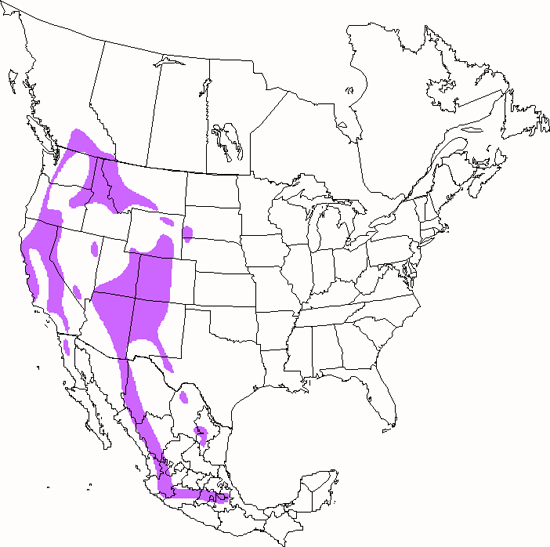 bird range map