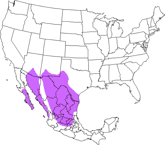 bird range map