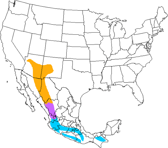 bird range map