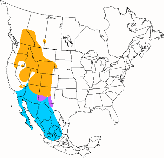 bird range map