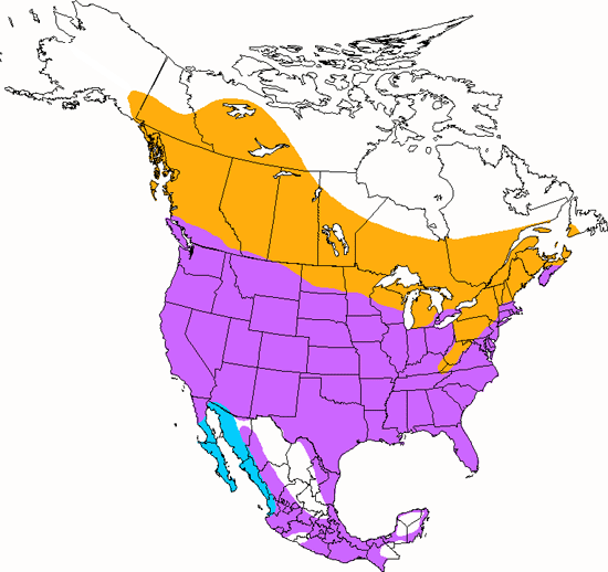 bird range map