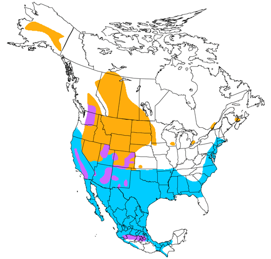 bird range map