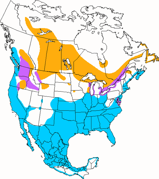 bird range map