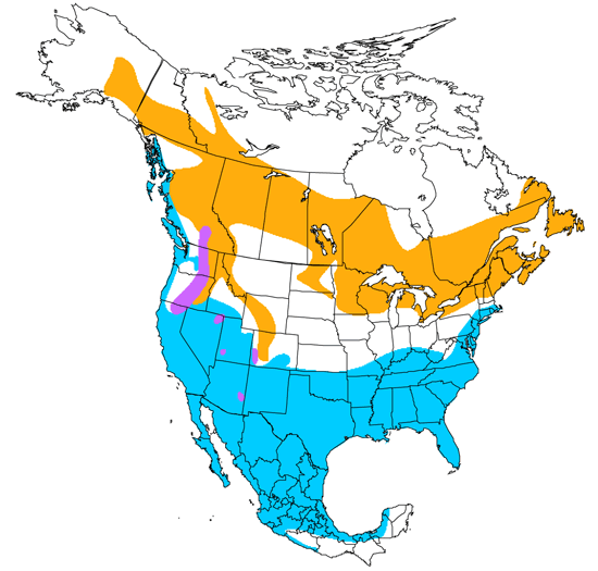 bird range map