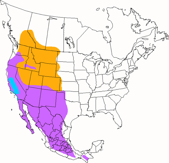 bird range map