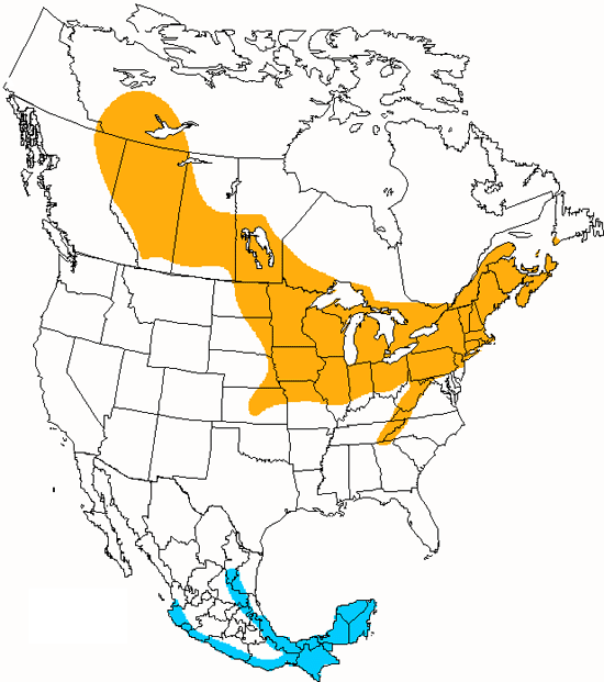 bird range map