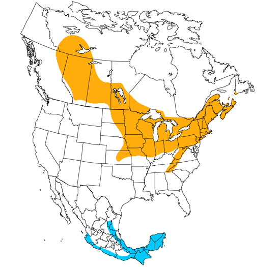 bird range map