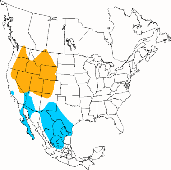 bird range map