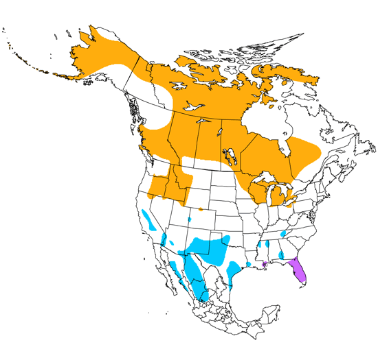 bird range map